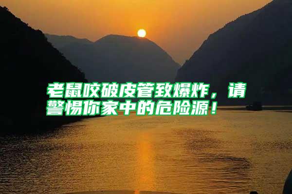 老鼠咬破皮管致爆炸，請警惕你家中的危險源！
