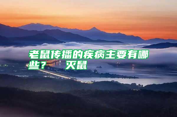 老鼠傳播的疾病主要有哪些?  滅鼠