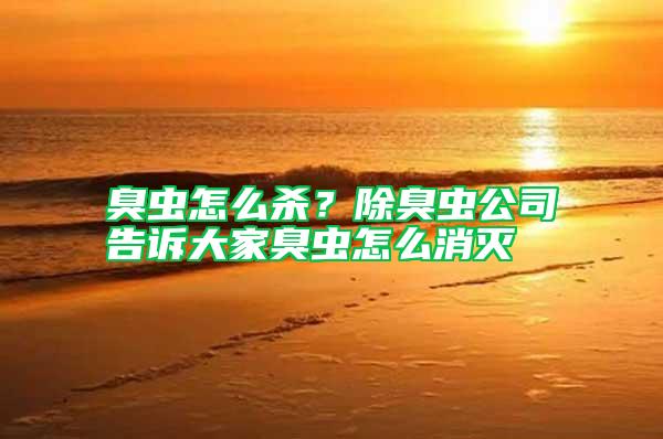 臭蟲怎么殺?除臭蟲公司告訴大家臭蟲怎么消滅