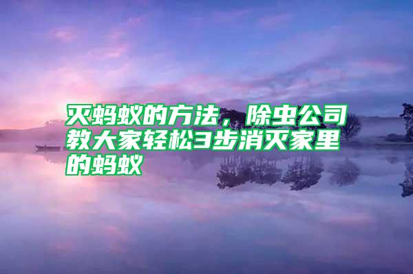 滅螞蟻的方法,除蟲公司教大家輕松3步消滅家里的螞蟻