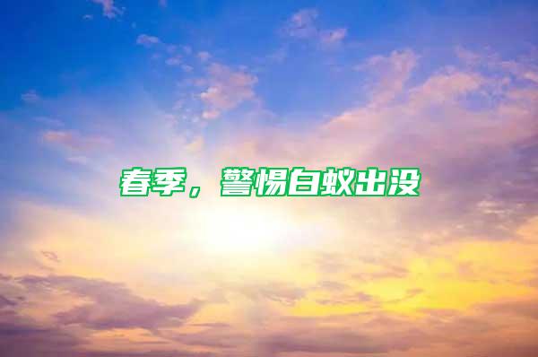 春季,警惕白蟻出沒