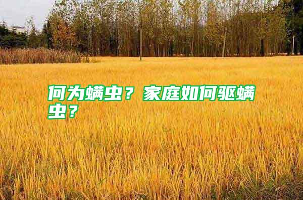 何為螨蟲？家庭如何驅(qū)螨蟲？