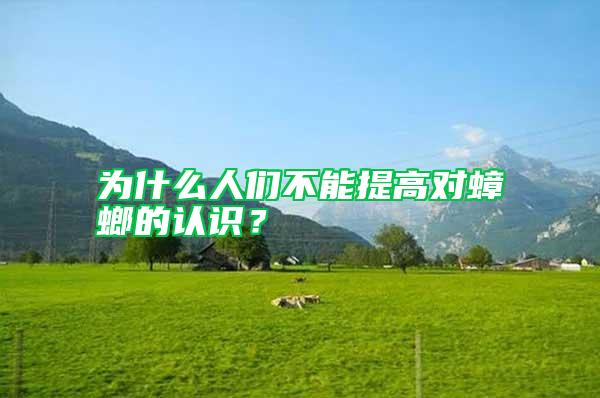 為什么人們不能提高對(duì)蟑螂的認(rèn)識(shí)？