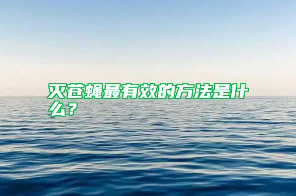 滅蒼蠅最有效的方法是什么?