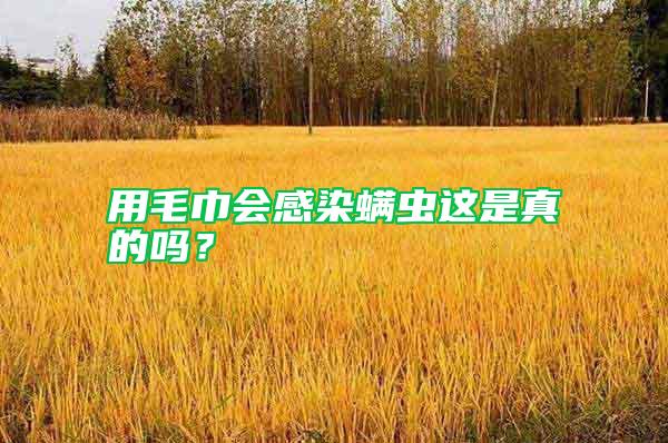用毛巾會感染螨蟲這是真的嗎?