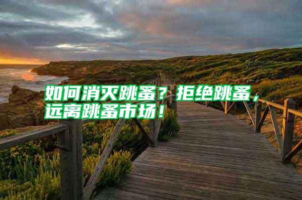 如何消滅跳蚤？拒絕跳蚤，遠(yuǎn)離跳蚤市場！