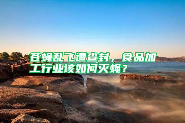 蒼蠅亂飛遭查封,食品加工行業(yè)該如何滅蠅?