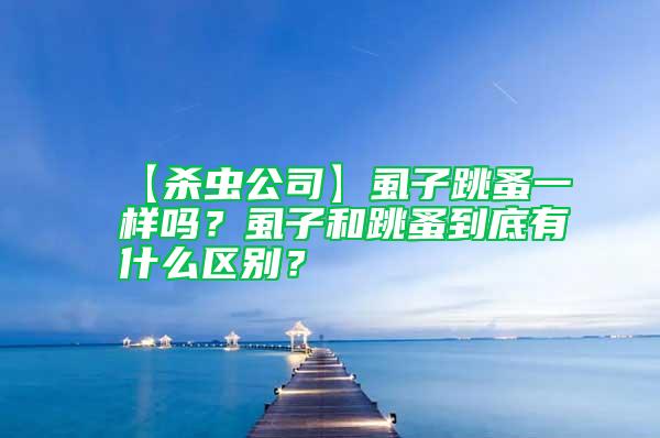 【殺蟲(chóng)公司】虱子跳蚤一樣嗎？虱子和跳蚤到底有什么區(qū)別？