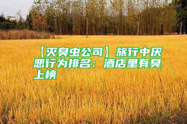 【滅臭蟲公司】旅行中厭惡行為排名:酒店里有臭上榜