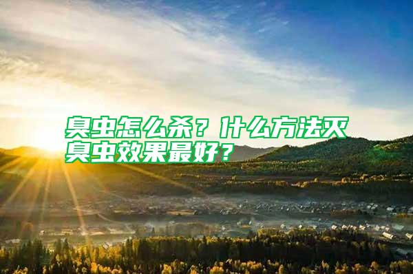 臭蟲怎么殺?什么方法滅臭蟲效果最好?