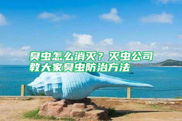 臭蟲怎么消滅?滅蟲公司教大家臭蟲防治方法