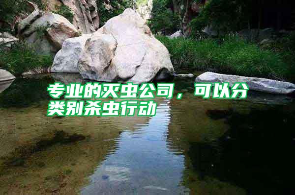 專業的滅蟲公司,可以分類別殺蟲行動
