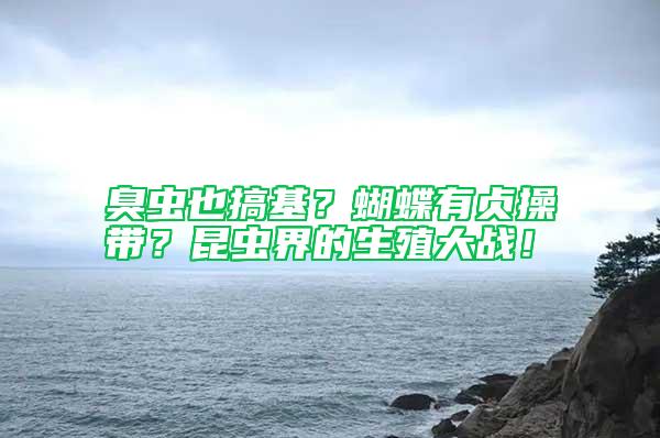 臭蟲也搞基？蝴蝶有貞操帶？昆蟲界的生殖大戰(zhàn)！