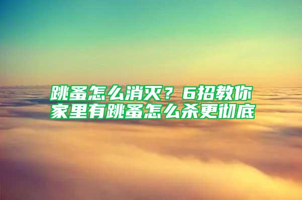 跳蚤怎么消滅?6招教你家里有跳蚤怎么殺更徹底