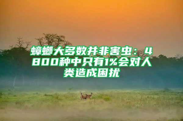 蟑螂大多數并非害蟲:4800種中只有1%會對人類造成困擾
