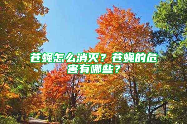 蒼蠅怎么消滅?蒼蠅的危害有哪些?