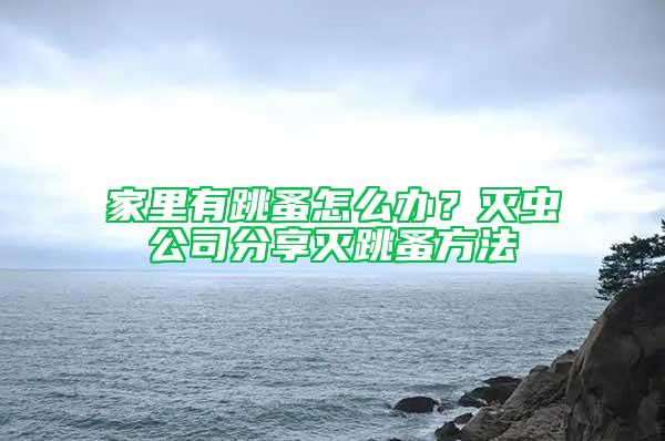 家里有跳蚤怎么辦？滅蟲(chóng)公司分享滅跳蚤方法