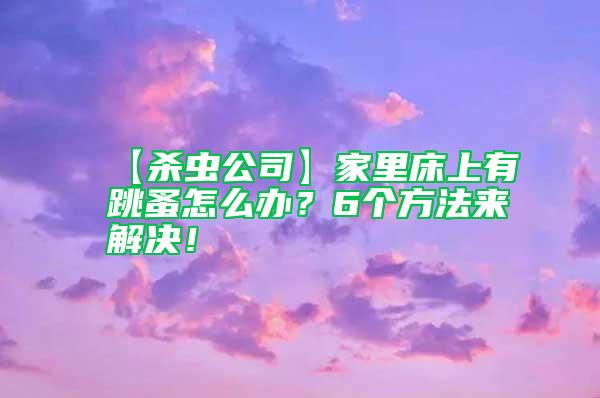 【殺蟲公司】家里床上有跳蚤怎么辦?6個(gè)方法來解決!