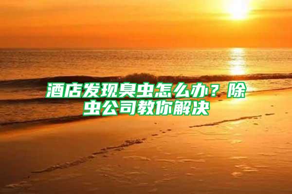 酒店發(fā)現(xiàn)臭蟲怎么辦？除蟲公司教你解決