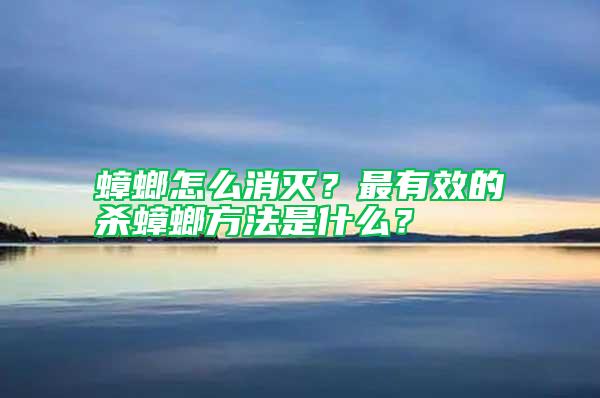 蟑螂怎么消滅?最有效的殺蟑螂方法是什么?