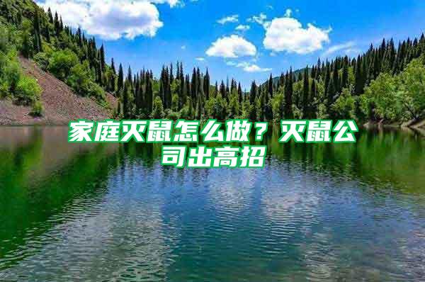 家庭滅鼠怎么做?滅鼠公司出高招