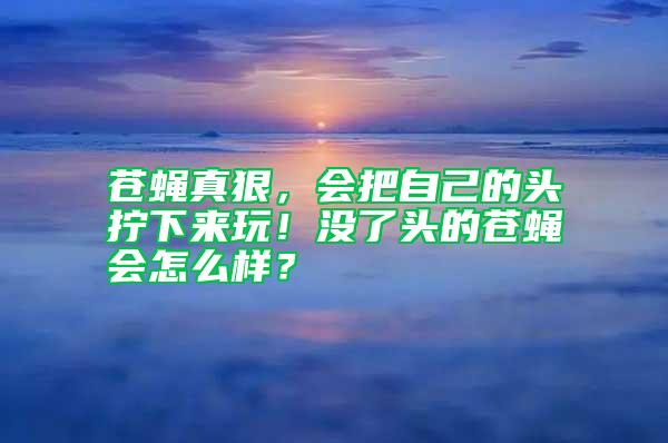蒼蠅真狠，會(huì)把自己的頭擰下來玩！沒了頭的蒼蠅會(huì)怎么樣？