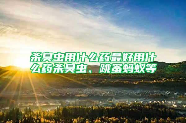 殺臭蟲用什么藥最好用什么藥殺臭蟲、跳蚤螞蟻等