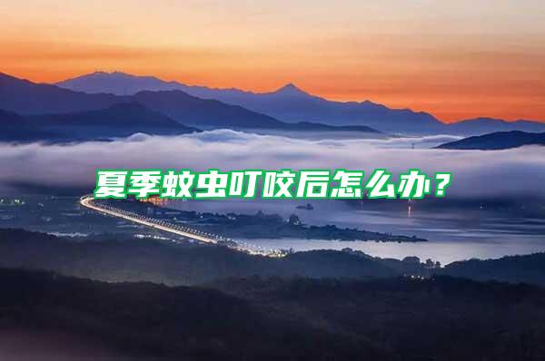 夏季蚊蟲叮咬后怎么辦?