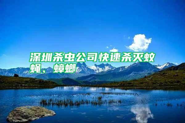 深圳殺蟲(chóng)公司快速殺滅蚊蠅、蟑螂