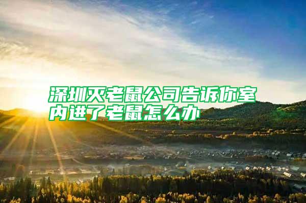 深圳滅老鼠公司告訴你室內(nèi)進了老鼠怎么辦