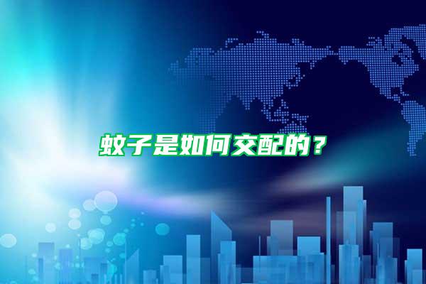 蚊子是如何交配的?