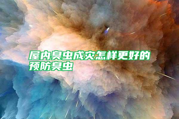 屋內(nèi)臭蟲(chóng)成災(zāi)怎樣更好的預(yù)防臭蟲(chóng)