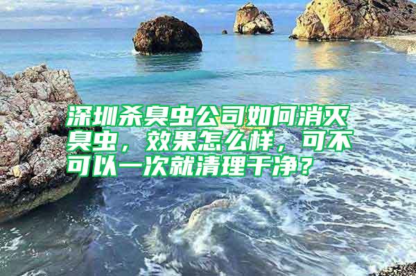 深圳殺臭蟲公司如何消滅臭蟲,效果怎么樣,可不可以一次就清理干凈?