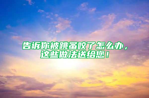 告訴你被跳蚤咬了怎么辦,這些做法送給您!