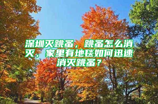 深圳滅跳蚤，跳蚤怎么消滅，家里有地毯如何迅速消滅跳蚤？