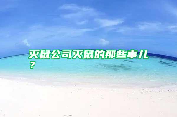 滅鼠公司滅鼠的那些事兒?