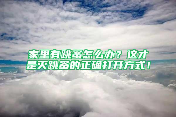家里有跳蚤怎么辦?這才是滅跳蚤的正確打開方式!