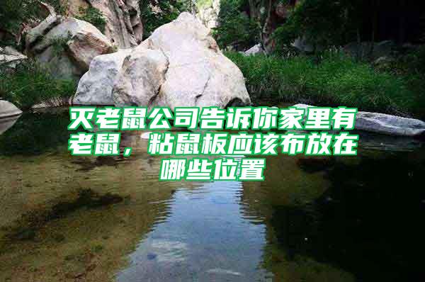 滅老鼠公司告訴你家里有老鼠,粘鼠板應該布放在哪些位置