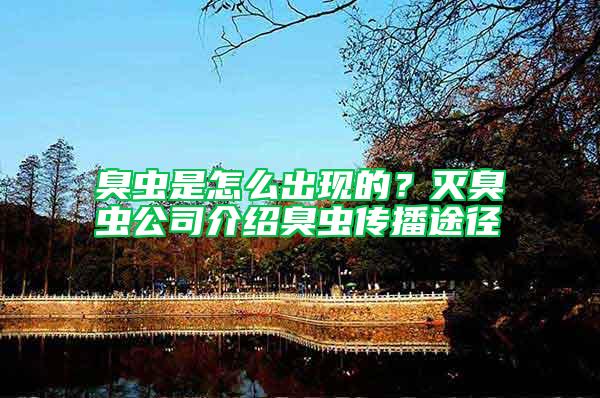 臭蟲是怎么出現的?滅臭蟲公司介紹臭蟲傳播途徑