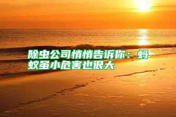 除蟲公司悄悄告訴你:螞蟻雖小危害也很大