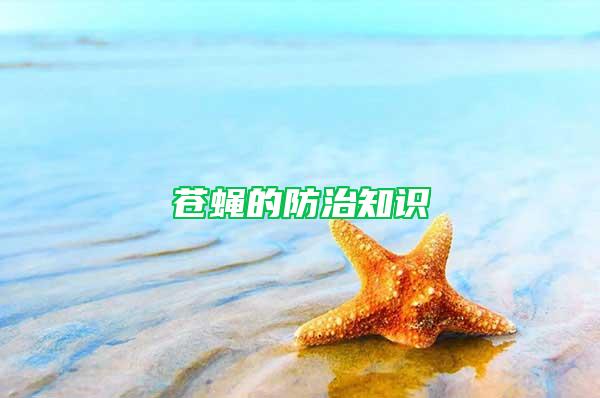 蒼蠅的防治知識(shí)