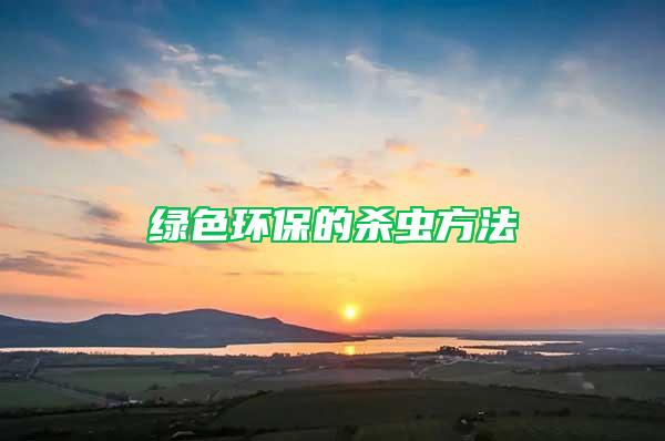 綠色環(huán)保的殺蟲(chóng)方法