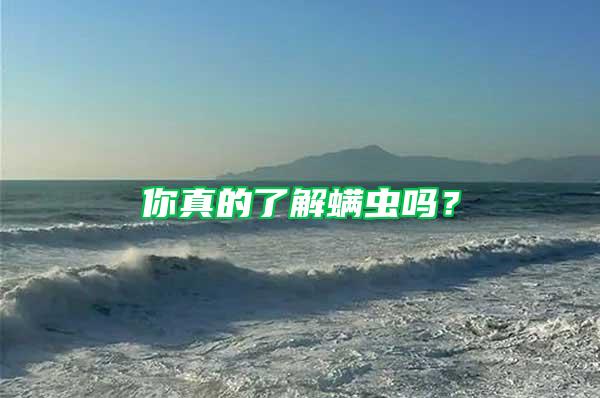 你真的了解螨蟲嗎？
