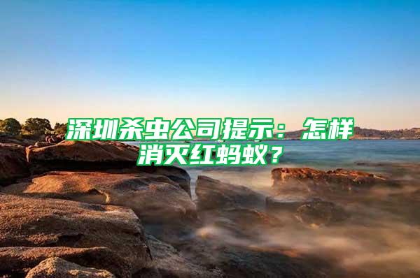 深圳殺蟲公司提示:怎樣消滅紅螞蟻?