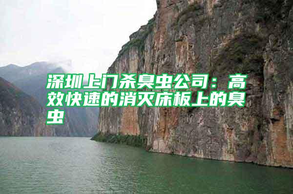 深圳上門(mén)殺臭蟲(chóng)公司:高效快速的消滅床板上的臭蟲(chóng)