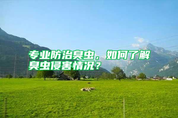 專(zhuān)業(yè)防治臭蟲(chóng)，如何了解臭蟲(chóng)侵害情況？