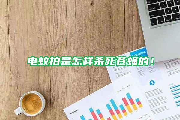 電蚊拍是怎樣殺死蒼蠅的！