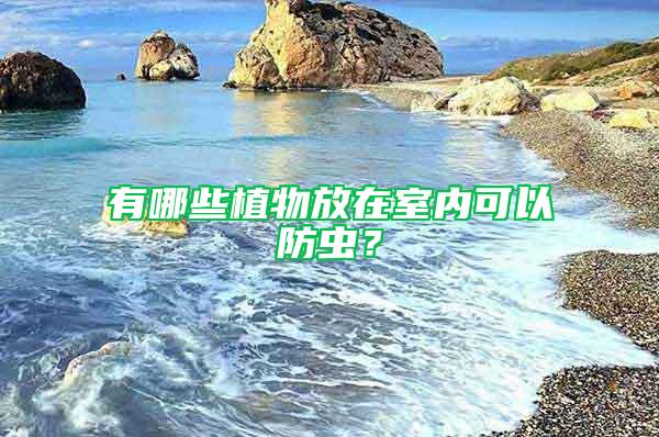 有哪些植物放在室內可以防蟲?