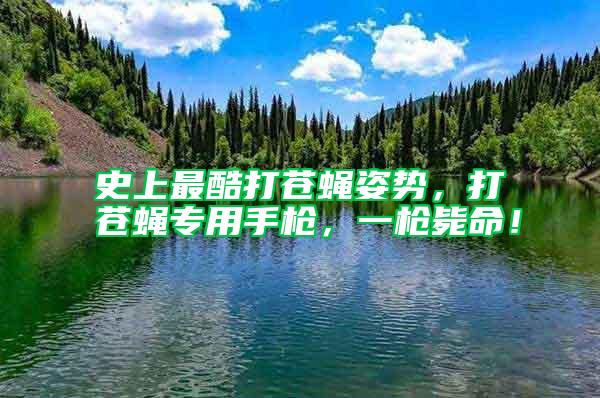 史上最酷打蒼蠅姿勢,打蒼蠅專用手槍,一槍斃命!