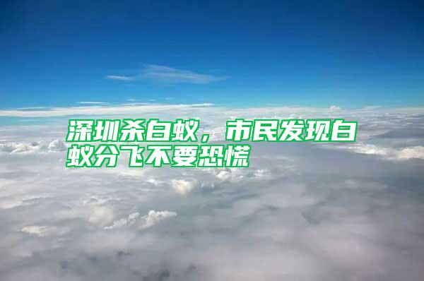 深圳殺白蟻，市民發(fā)現(xiàn)白蟻分飛不要恐慌